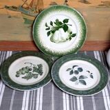 Antique earthenware plates with fruit decoration.