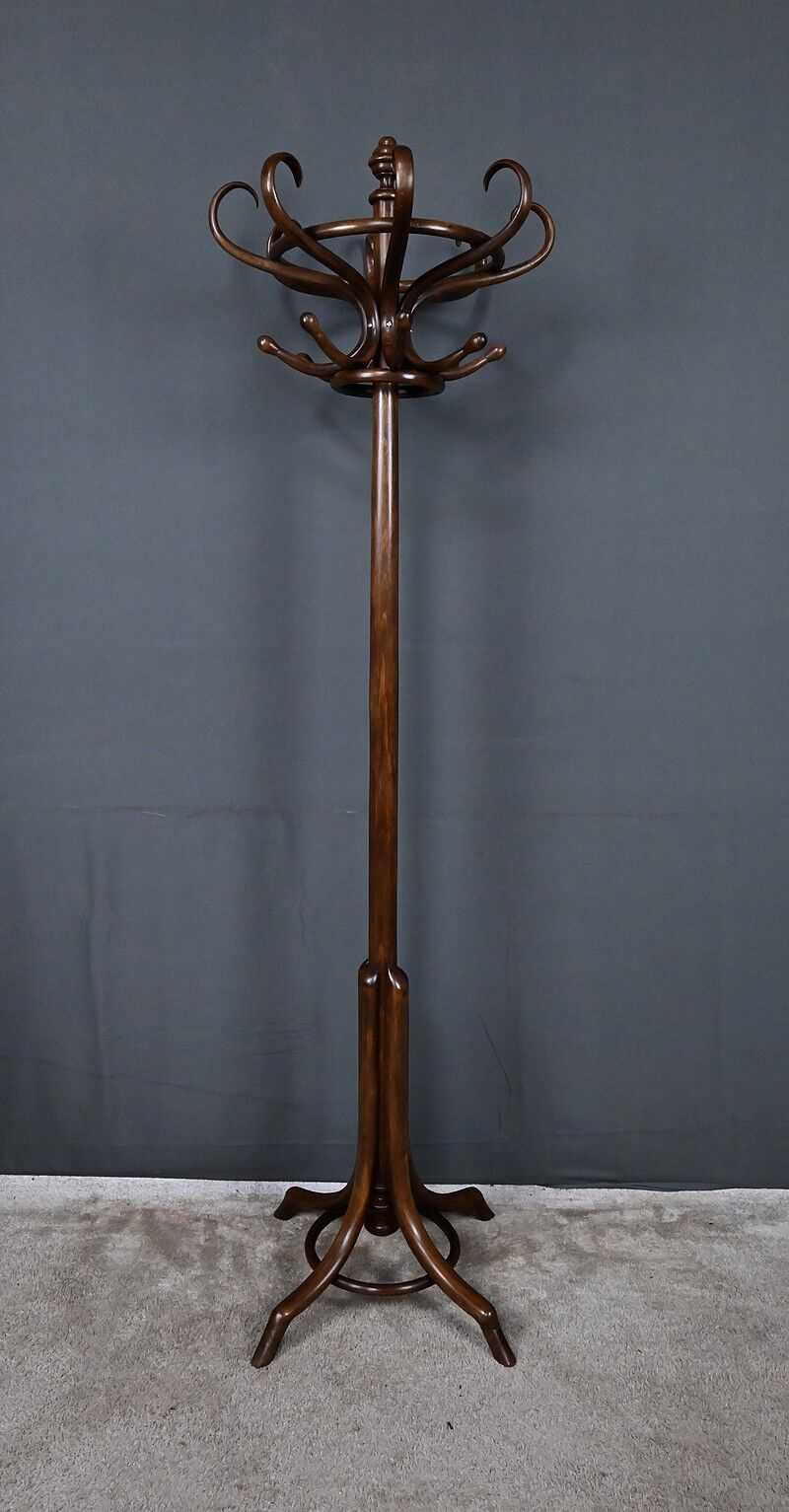 Beech coat rack parrot – early 20th century