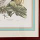Paire de lithographies originales signées au crayon Gail Denise Darroll