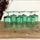 6 verres LUMINARC vert émeraude