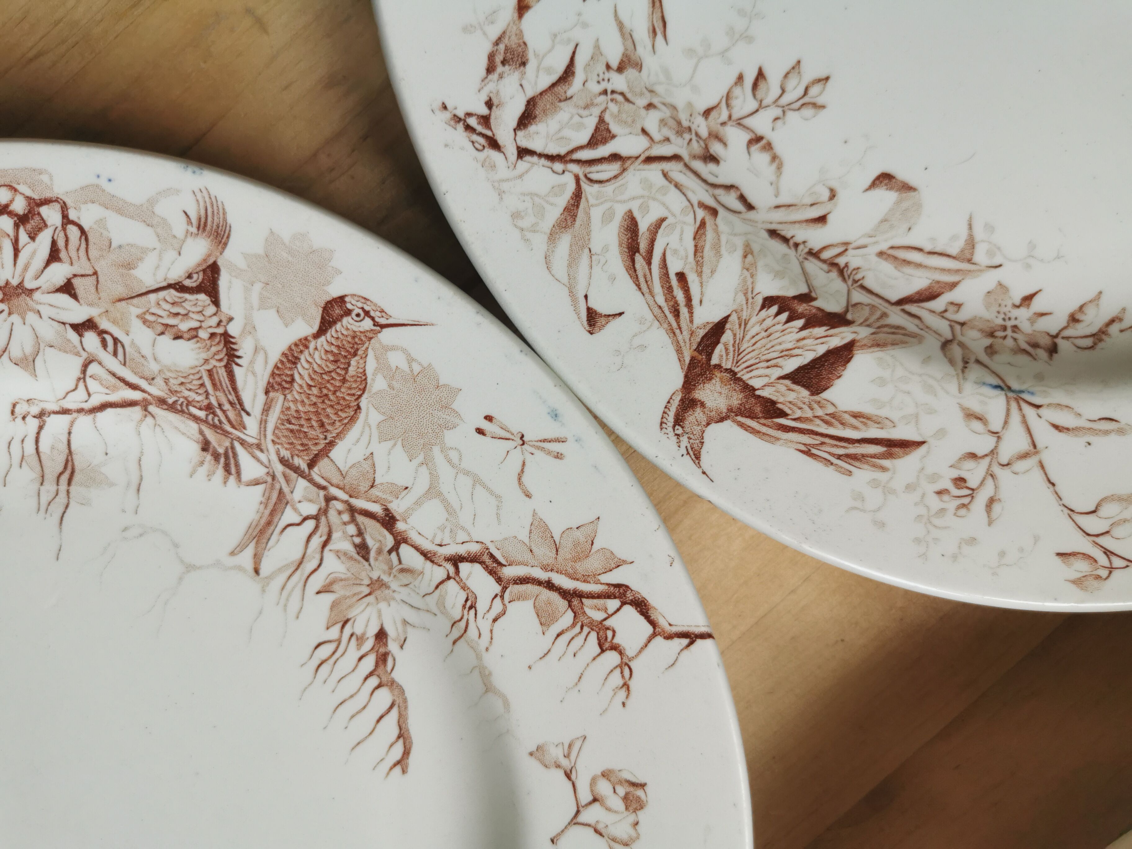 Lot of 8 Colibri luneville plates
