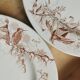 Lot of 8 Colibri luneville plates