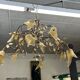 Chandelier and wall lamp Murano