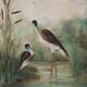 Large decorative painting of birds in water, France 1960s