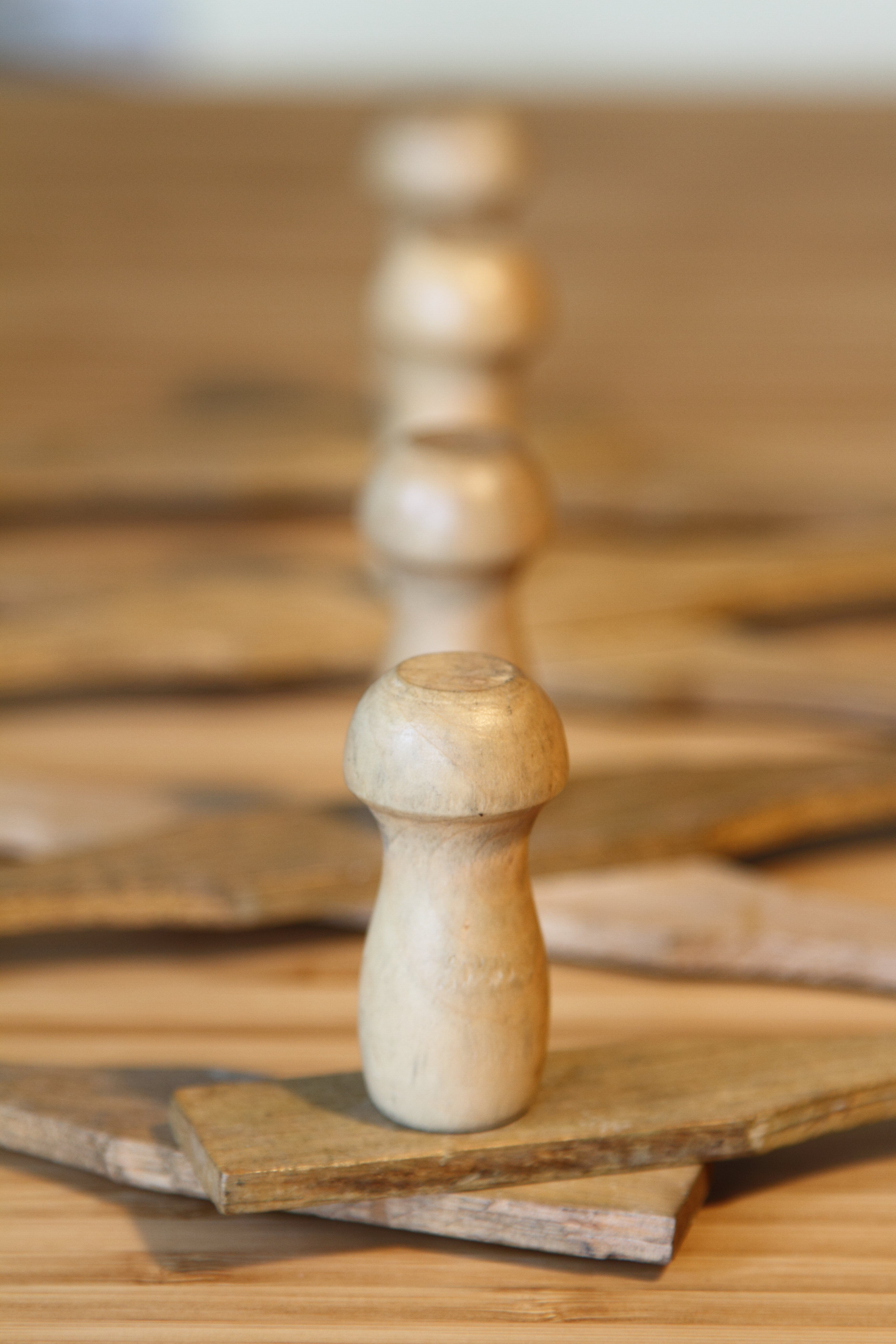 Vintage folding accordion caotrack