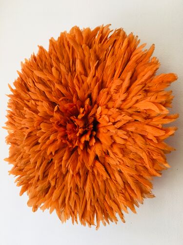 Jujuhat orange 50 cm