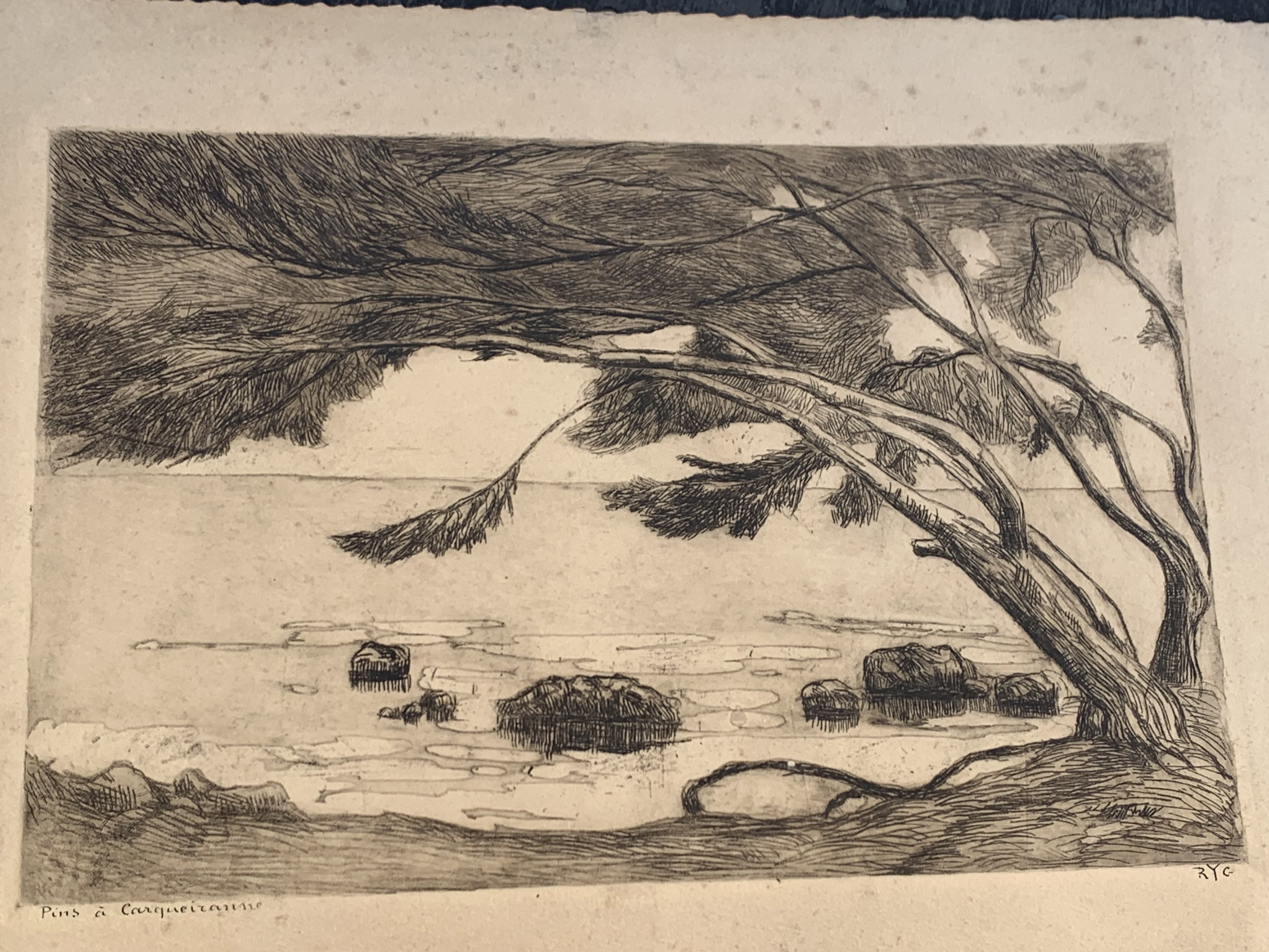 Charcoal drawing and ink the pines Carqueiranne sign Ryg