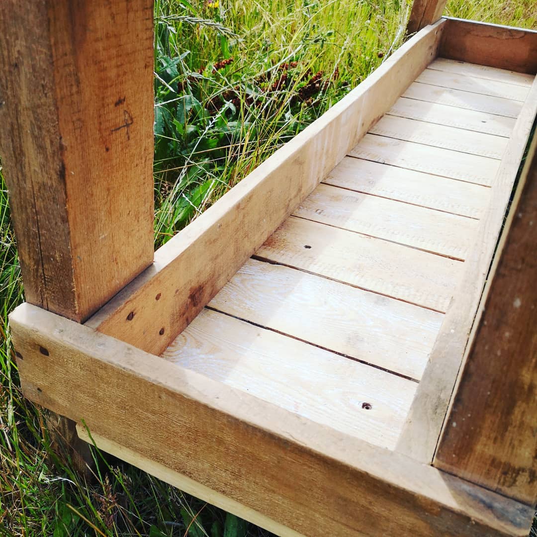 Established old carpenter