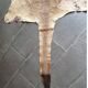 Kangaroo skin Curiosity cabinet