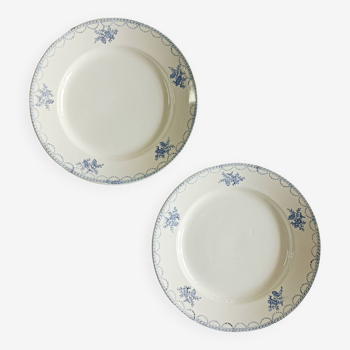 Lot de 2 assiettes plates terre de fer Ceranord