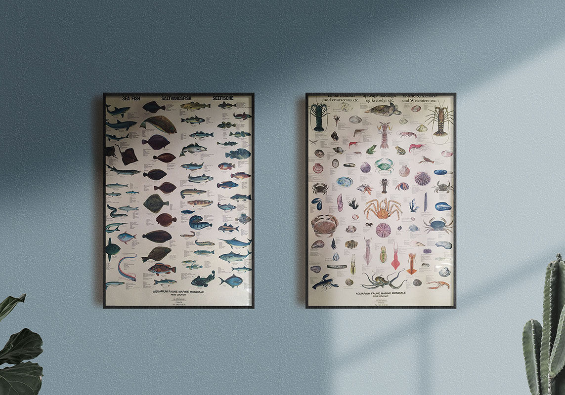 Vintage marine wildlife poster, 80s