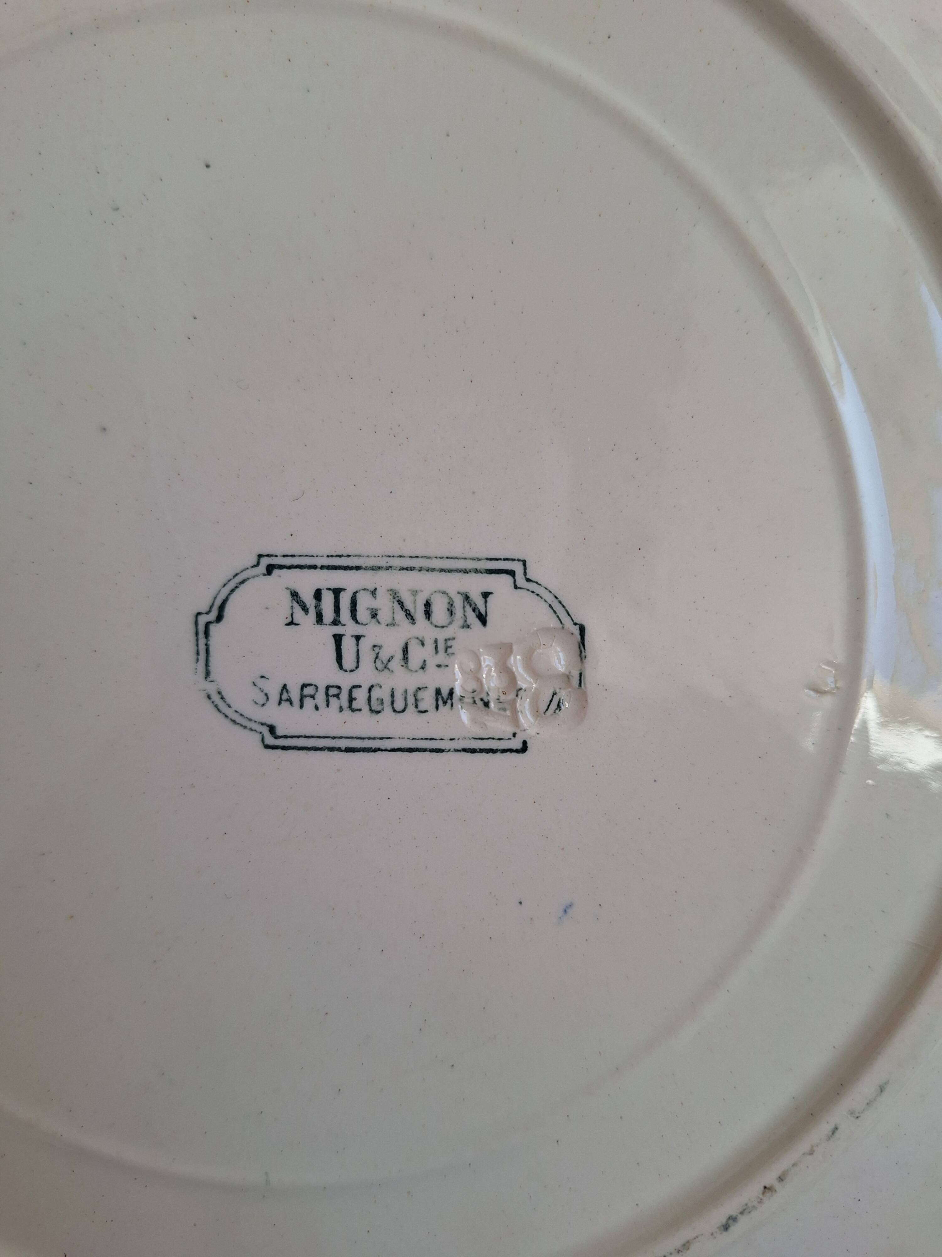 Vintage blue pink green dinner plates