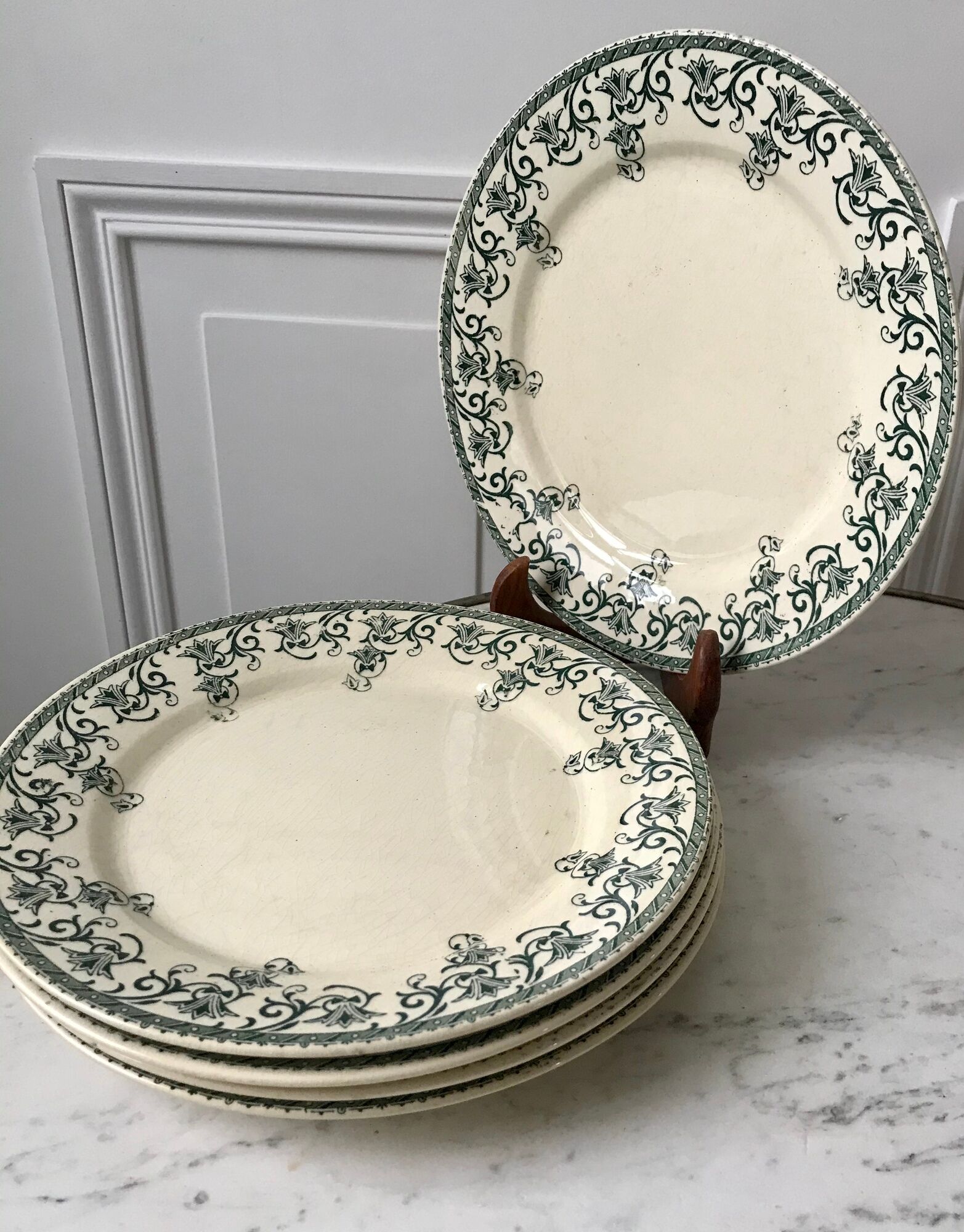 lot of 5 flat plates Terre de Fer Digoin Sarreguemines model "Suzanne" late nineteenth