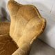 Paire de fauteuils baroque