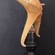Cabinet of Curiosities starfish poraster superbus on base