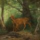 Old painting "Deer in the Woods" oil on canvas France 19th century