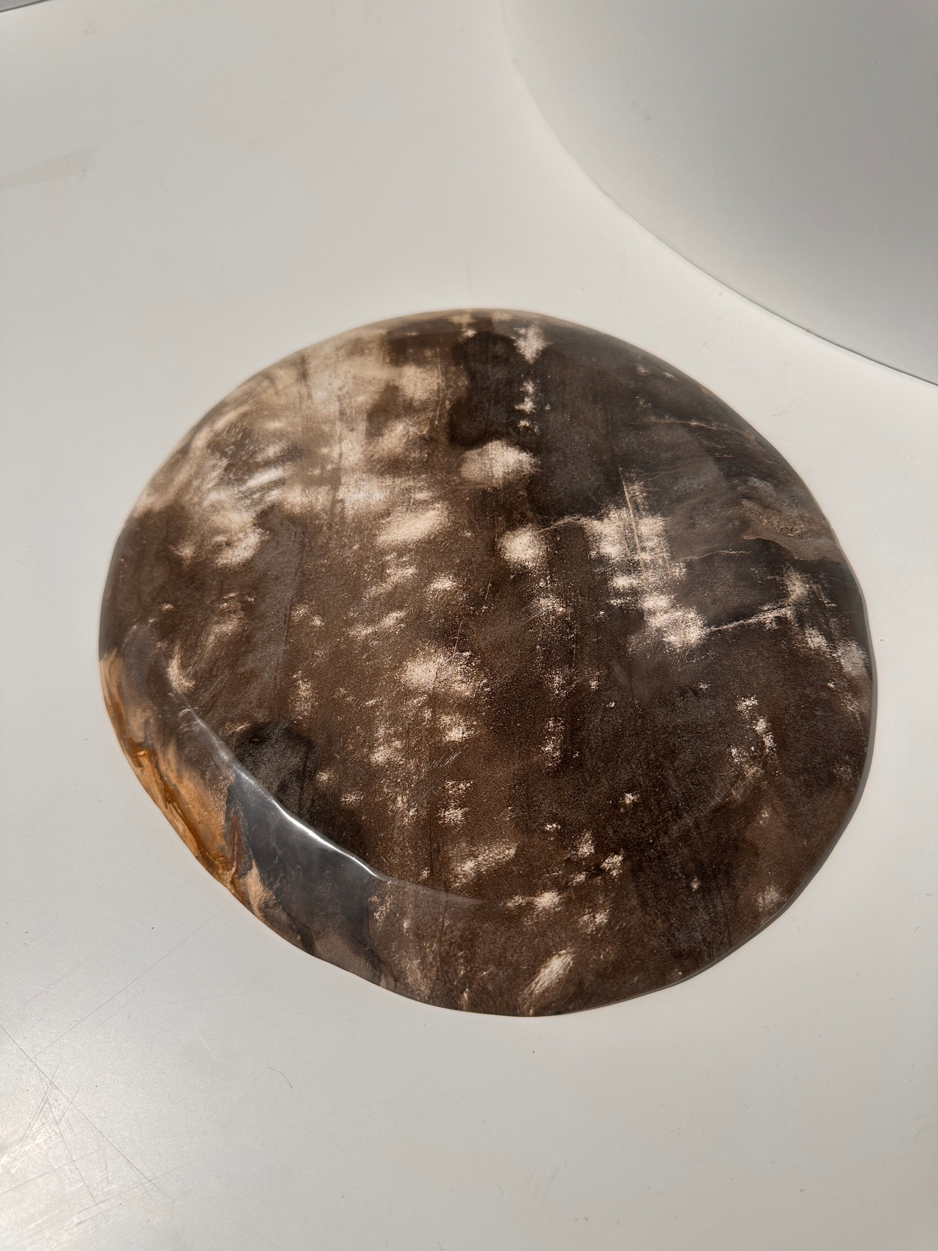 Dish in petrified wood