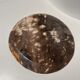 Dish in petrified wood