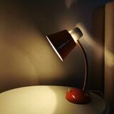Hala Zeist 60s metal swan collar lamp