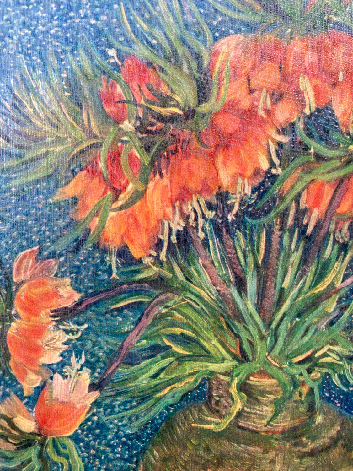 Table bouquet flowers reproduction frame wood