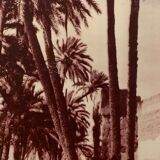 Moroccan photo