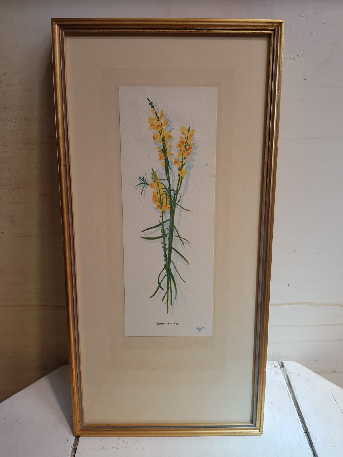 Series 4 Old Botanical Boards Flowers GRANDALL + Frame Gilded Wood Vintage