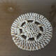 Pair of shell dishes underside 70s