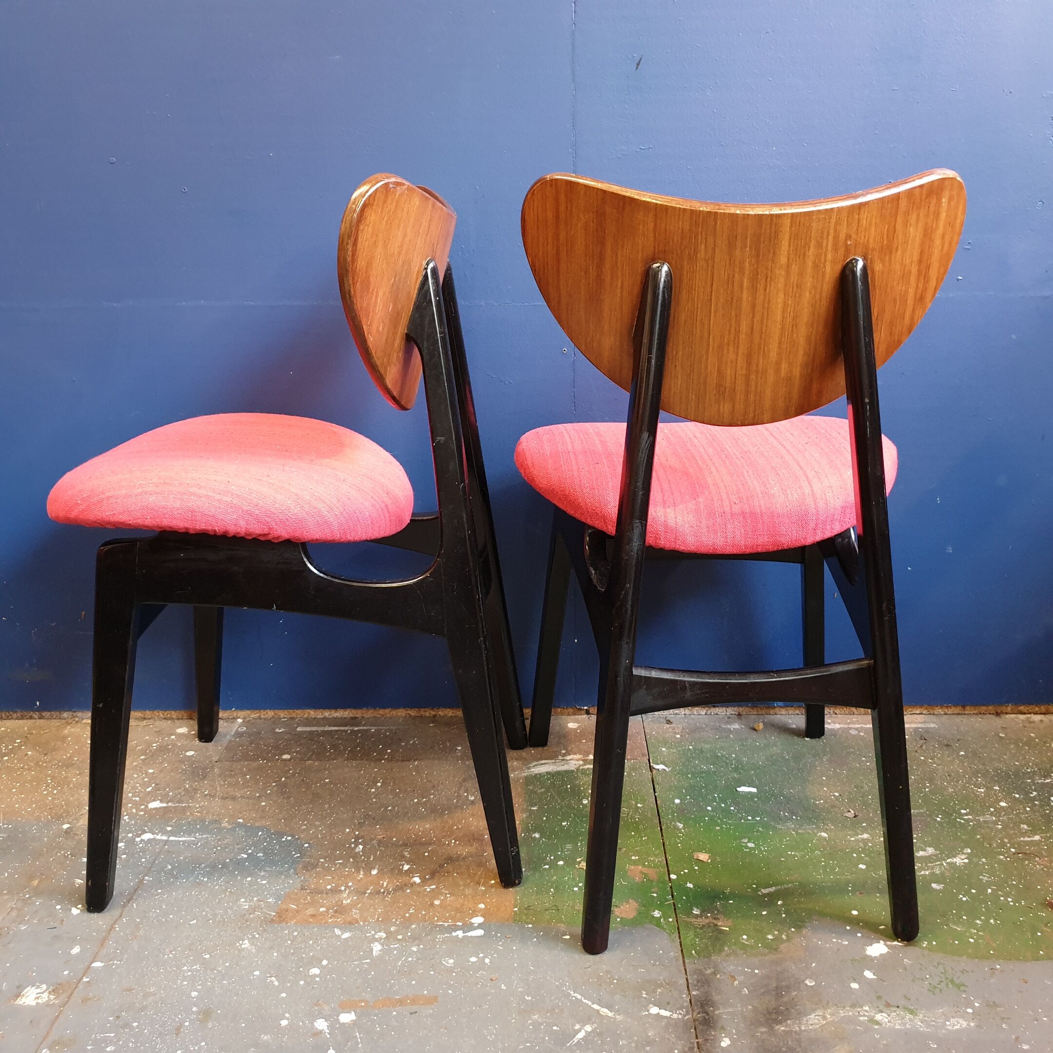 Six G Plan butterfly chairs, 1950