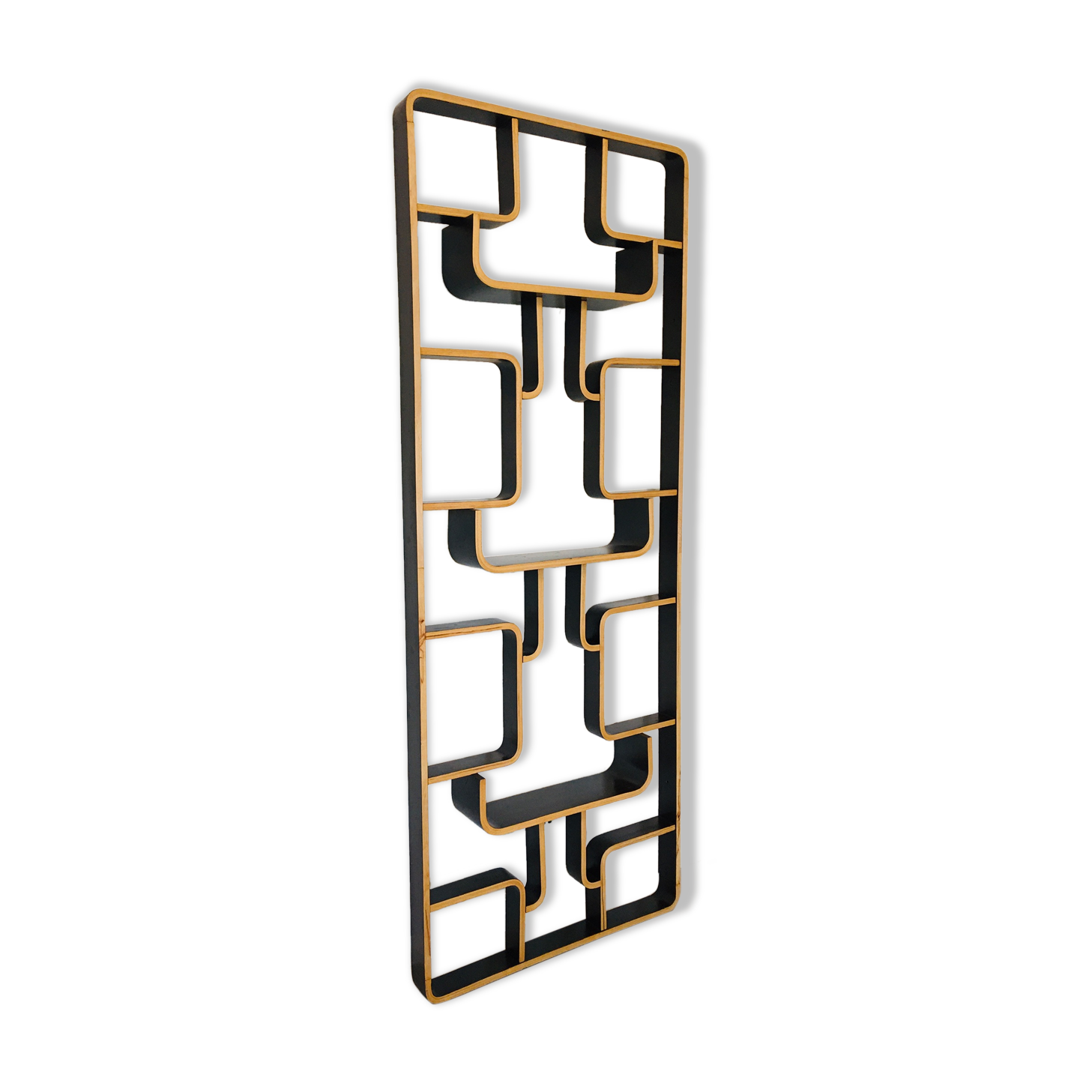 Mid-Century Room Divider by Ludvik Volak for Drevopodnik Holesov, 1960s