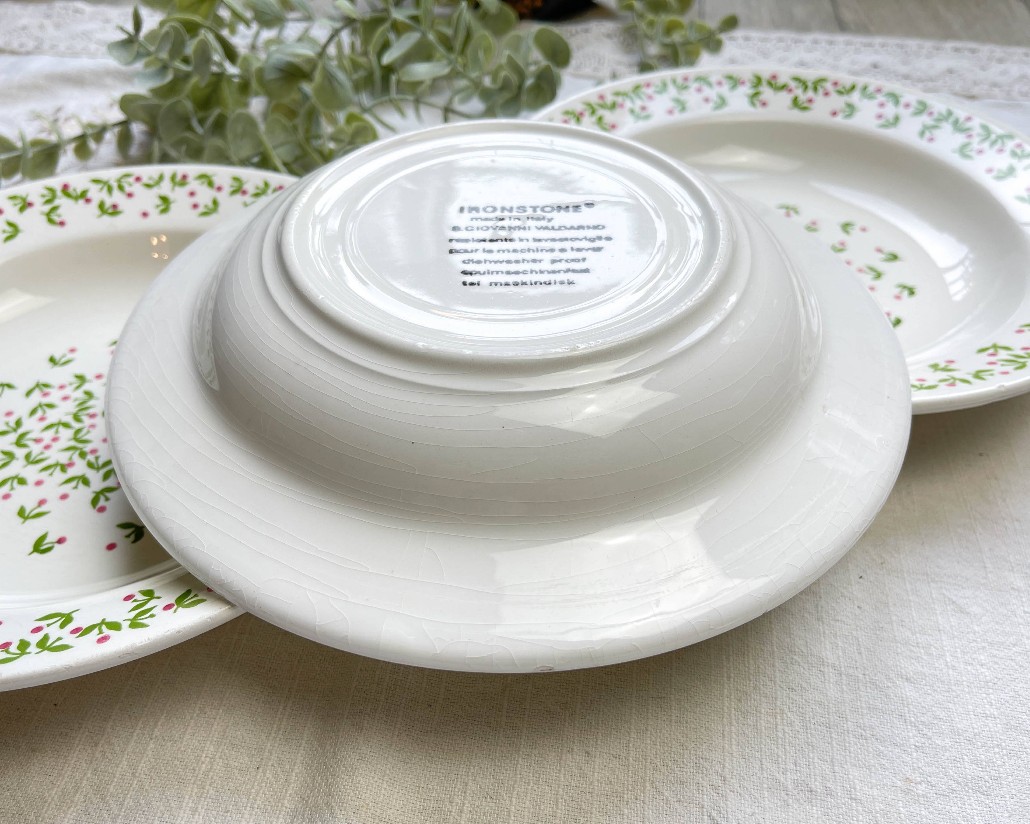 Deep plates Ironstone Italian Giovanni Valdarno pattern green red