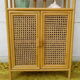 Canning rattan