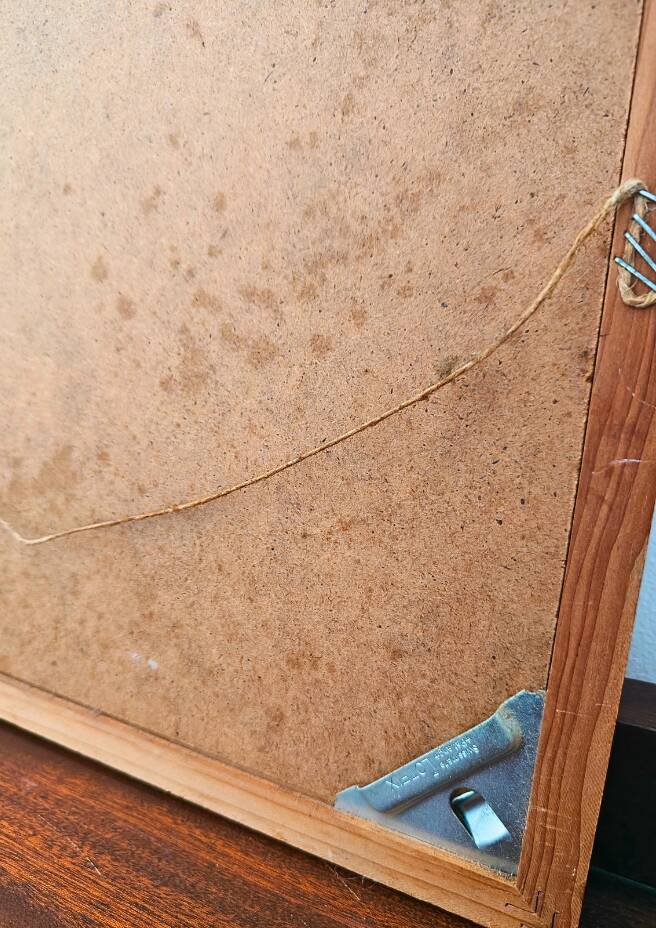 Pair of Botanical Plates 1905 – Peach & Pear – Poiteau