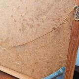 Pair of Botanical Plates 1905 – Peach & Pear – Poiteau