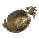 Vide poche ananas