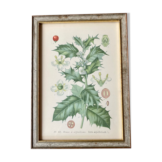 Botanical board 68