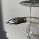 Silver-plated metal candlestick signed Alessandro Albrizzi 1970