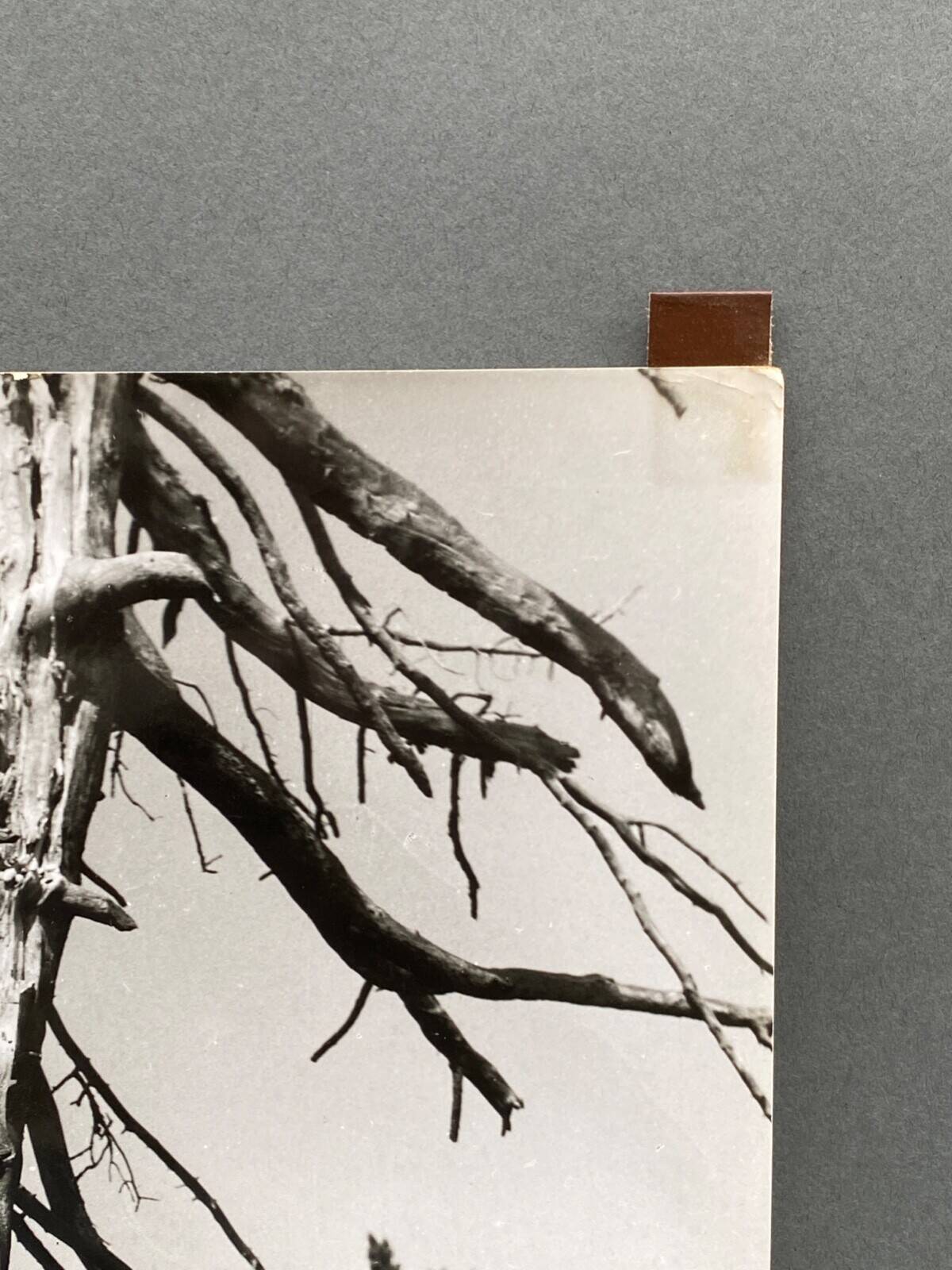 Photographie argentique Bernard Darot Les Vaincus XXe AFIAP