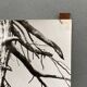 Photographie argentique Bernard Darot Les Vaincus XXe AFIAP