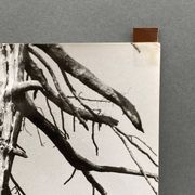 Photographie argentique Bernard Darot Les Vaincus XXe AFIAP