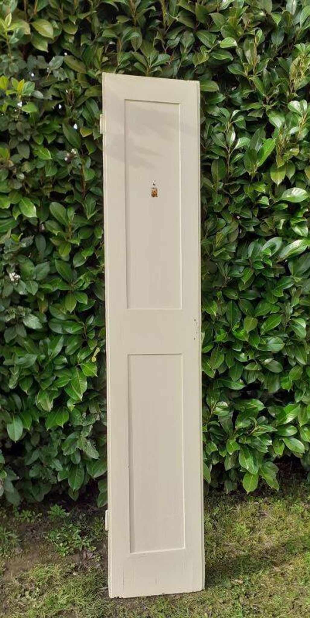 Porte h220x42cm étroite de placard ancienne panneautée moulurée
