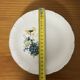 Set of 10 Antique Dessert Plates Digoin & Sarreguemines - Model