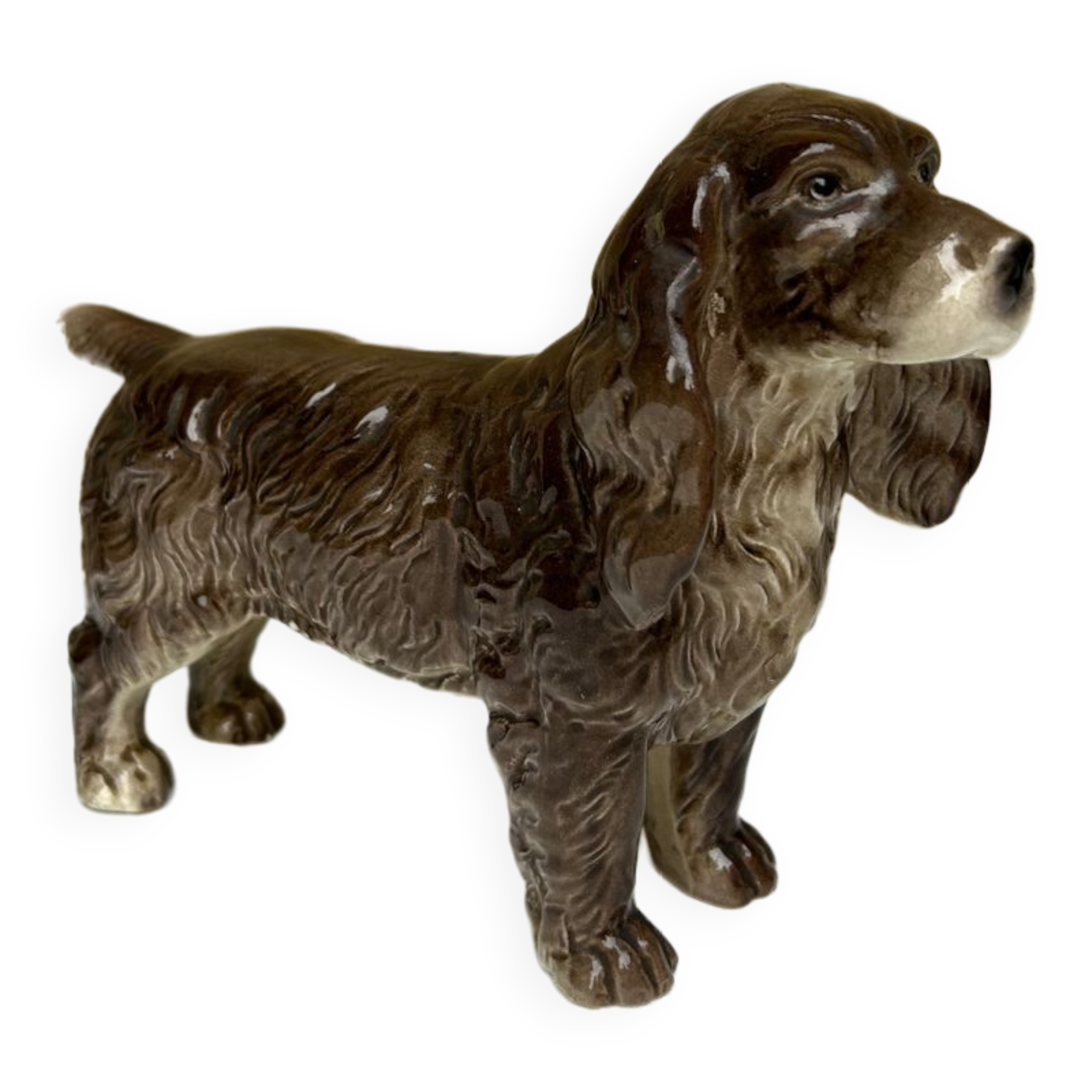 Ceramic spaniel dog