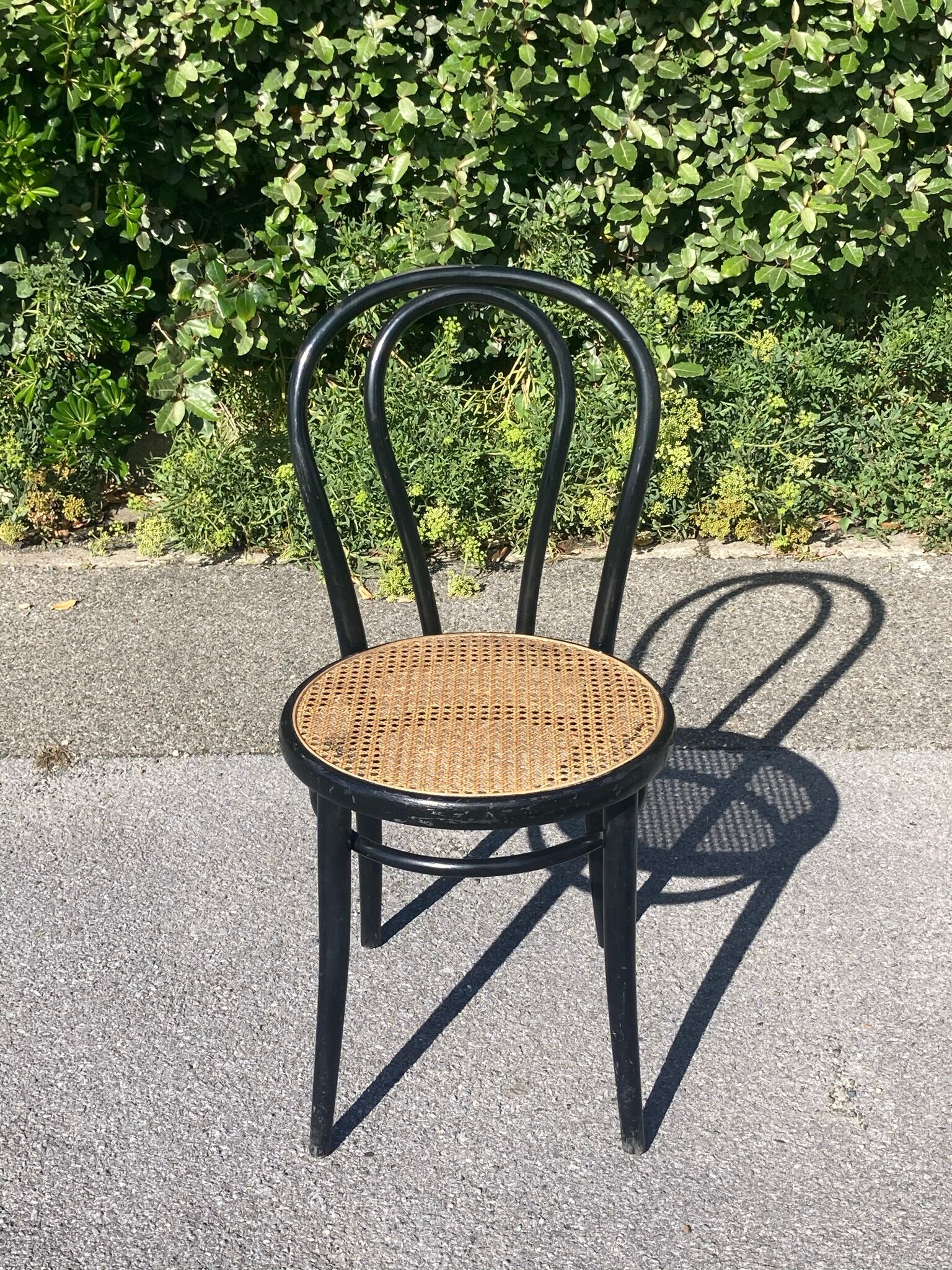 Curved wooden canework chair