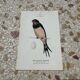 Naturalist engraving old botanical plate 1908 birds
