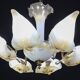 Exceptional Vintage 6-Light Gold Murano Glass Chandelier