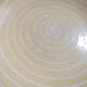 Set of 5 old Longchamp sunny yellow flat plates