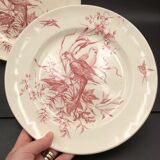 2 ancient plates longchamp congo parrot antique french plate parrot