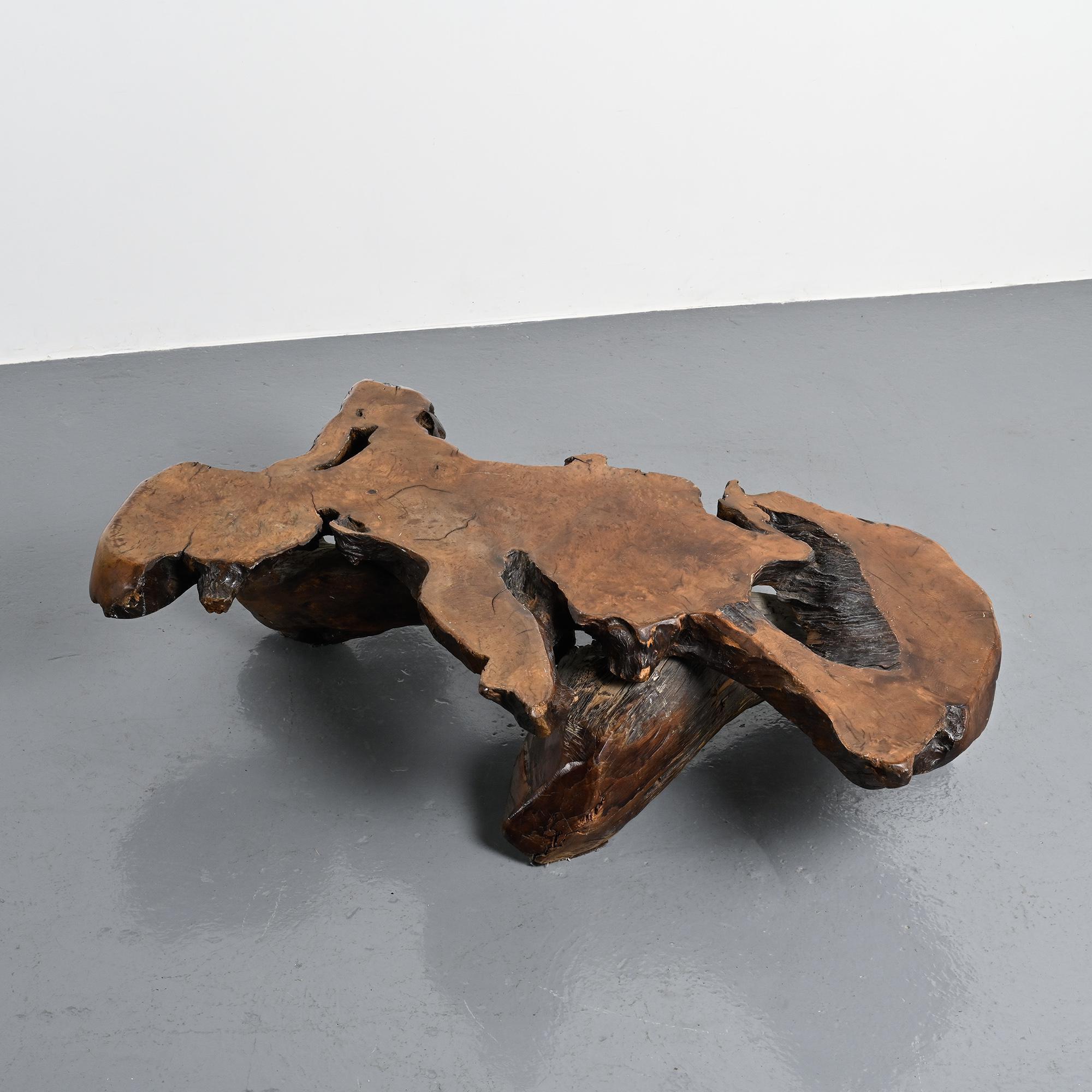 Table basse brutaliste en loupe d'orme, circa 1960