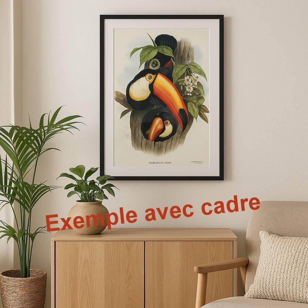 Vintage Board - Green Aracari by John Gould. Exotic Bird Illustration