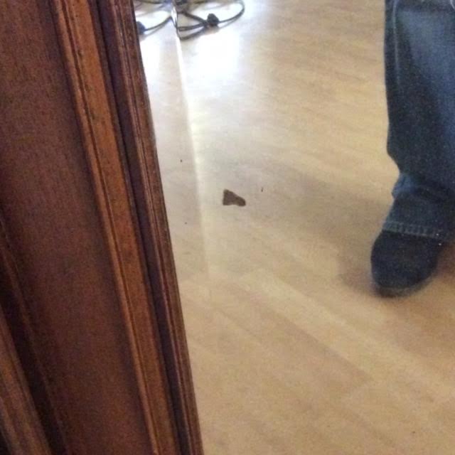 Fireplace mirror 160x100cm